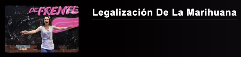liliana-flores-habla-de-frente-canal-once-legalizacion-marihuana